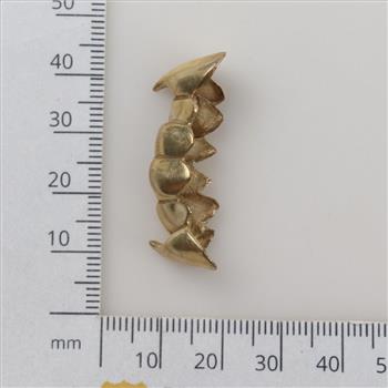 10kt Gold Teeth Caps