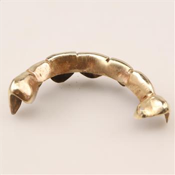 10kt Gold Teeth Cover