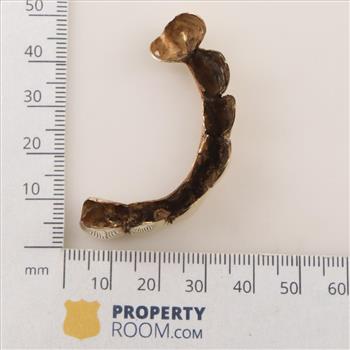 10kt Gold Teeth Cover