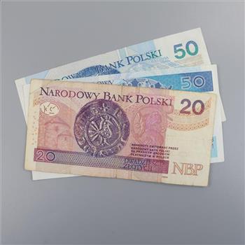 120 Polish Zloty