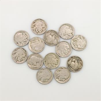 13 Buffalo Nickels
