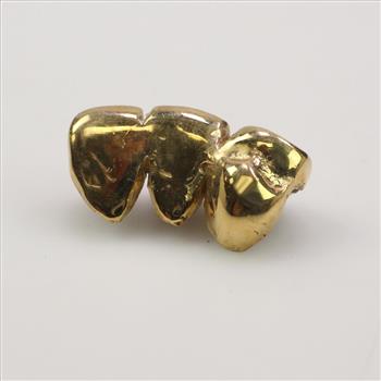 14k Gold Tooth Cover