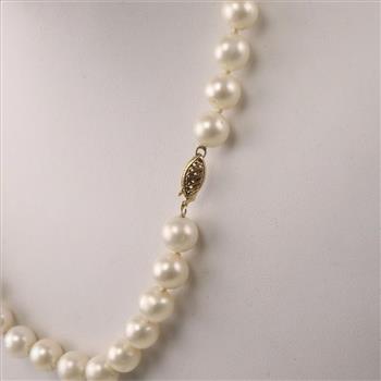14kt Gold Pearl Necklace