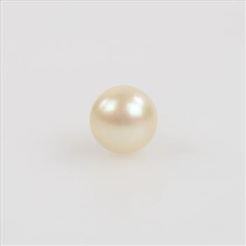 14kt Gold Pearl Single Earring