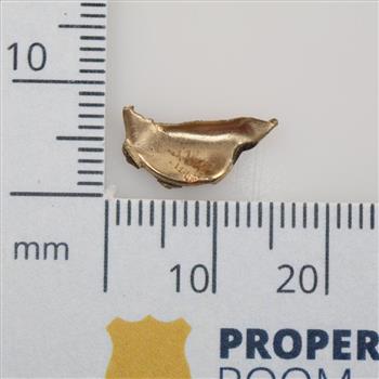 14kt Gold Piece