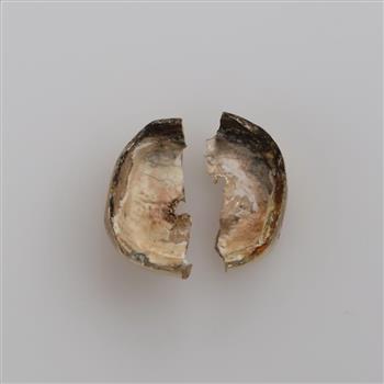 14kt Gold Pieces, 2 Pieces
