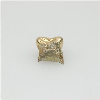 18kt Gold Teeth Cap