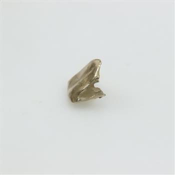 18kt Gold Tooth Cap