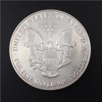 1999 American Eagle Fine Silver Dollar 1oz Custom Hand Painted