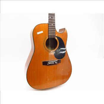 Lone Star Acoustic Guitar
