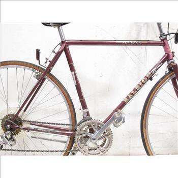 Vintage Raleigh Alyeska Men's City Bike