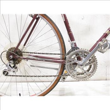 Vintage Raleigh Alyeska Men's City Bike