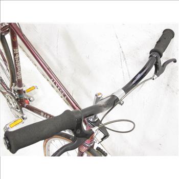 Vintage Raleigh Alyeska Men's City Bike