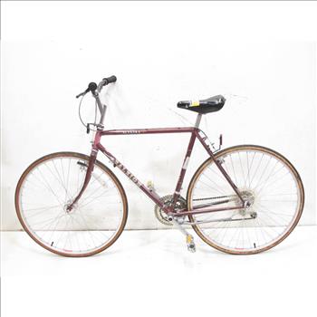 Vintage Raleigh Alyeska Men's City Bike