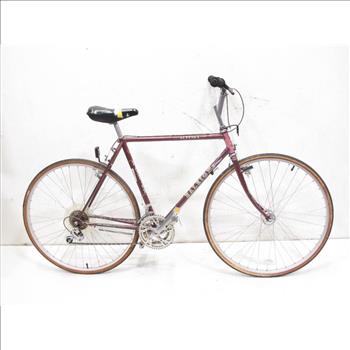 Vintage Raleigh Alyeska Men's City Bike