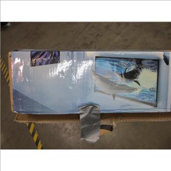 Ipix Cinema Concepts Projector And Projector Screen