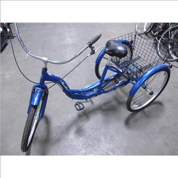 schwinn meridian 3 wheel bike