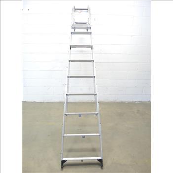 Werner Televator Ladder
