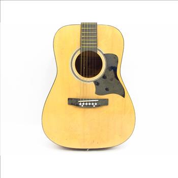 Protocol Acoustic Guitar