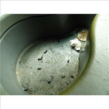 2001 Ford Taurus (Hartford, CT 06114)