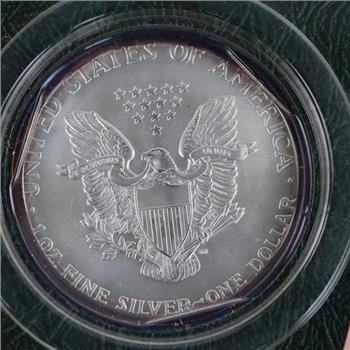 2002 American Eagle Fine Silver Dollar 1oz Littleton Coin