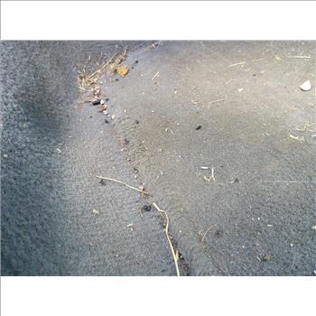 2004 Ford Taurus SE (Hartford, CT 06114)