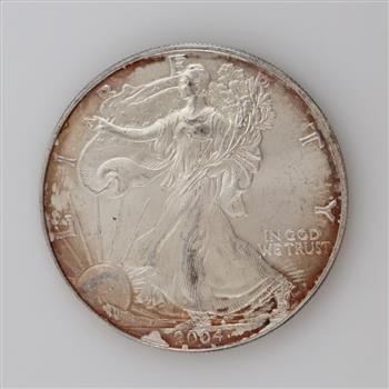 2004 US American Eagle Fine Silver Dollar 1oz