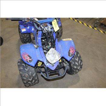 2008 BMX Mini ATV Sold For Parts