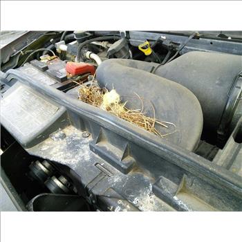 2008 Ford E-150 8 Passenger Van (Hartford, CT 06114)