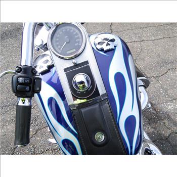 2008 Harley Davidson Fxst Custom (Hartford, CT 06114)