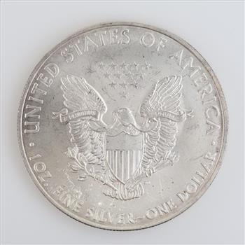 2010 American Eagle Fine Silver Dollar 1oz