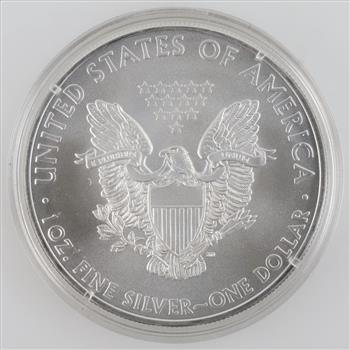 2010 American Mint US American Eagle Fine Silver Dollar 1oz With COA