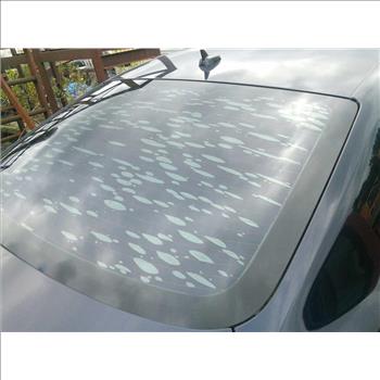 2010 Audi S5 (Hartford, CT 06114)