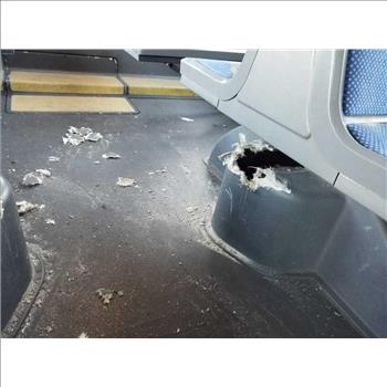 2010 NOVA L554 (Hartford, CT 06114)