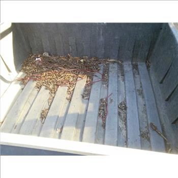 2011 EZGO MPT 1000  (Brooklyn, NY 11211)