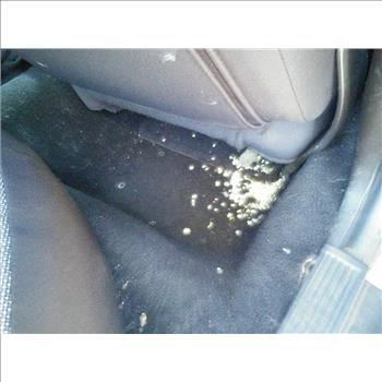 2011 Ford Crown Victoria (Hartford, CT 06114)