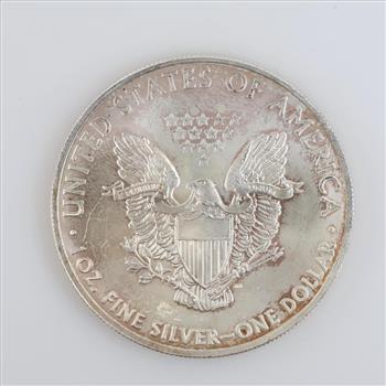 2013 US American Eagle Fine Silver Dollar 1 Oz