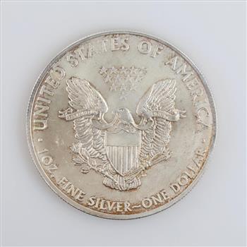 2013 US American Eagle Fine Silver Dollar 1 Oz