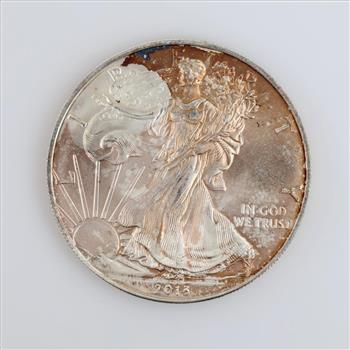 2013 US American Eagle Fine Silver Dollar 1 Oz