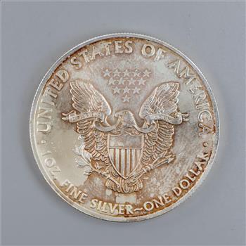 2013 US American Eagle Fine Silver Dollar 1 Oz