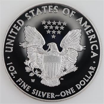 2013-W US American Eagle Fine Silver Proof Dollar 1oz