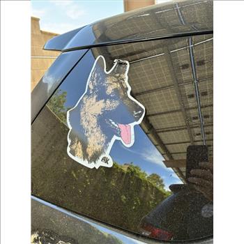 2017 Ford Explorer (Murrieta, CA 92562)
