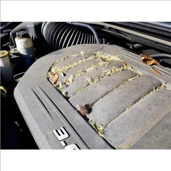 2018 Dodge Grand Caravan (Hartford, CT 06114)