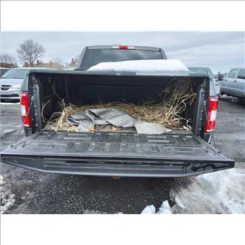 2019 Ford F-150 (Hartford, CT 06114)