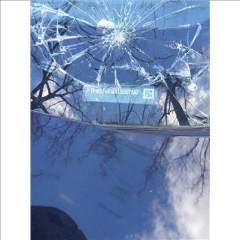 2020 Ford Interceptor Hybrid (Staten Island, NY 10309)