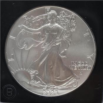 2023 US American Eagle Fine Silver Dollar 1oz Round