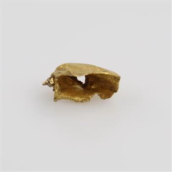 22kt Gold Piece