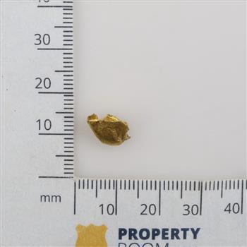 22kt Gold Piece