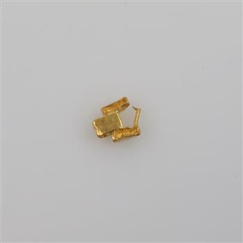 22kt Gold Piece