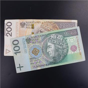300 Polish Zloty